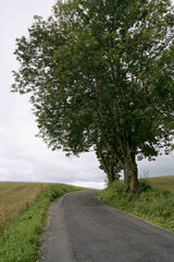 Images from the protected cultural landscape of Balkehogda, Toten, Norway.