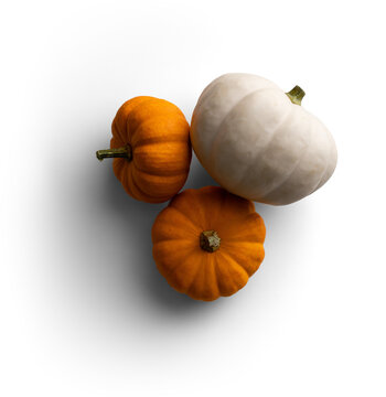 Pile of Pumpkins