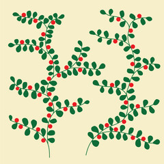 green branches leaves and red fruits vector illustration