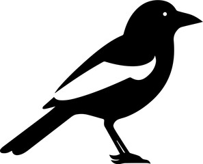 Magpie Bird Icon