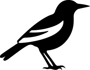Magpie Bird Icon
