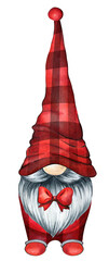 Christmas Gnome.  Merry Christmas Gnome. Plaid Gnome. Watercolor Gnome