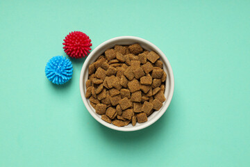 Tasty and delicious food for pet, pet accessories