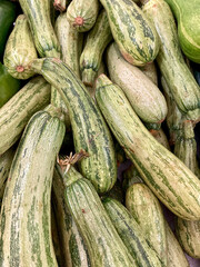 Italian zucchini for sale in the market.
