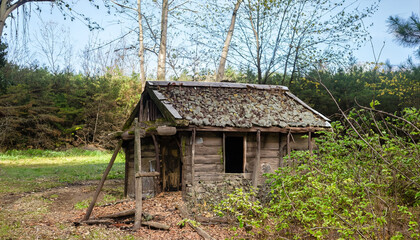 Fototapeta na wymiar Old hut in the forest
