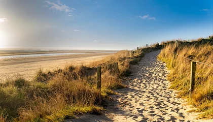 Peel and stick wall murals North sea, Netherlands Path to North sea beach in gold sunshine