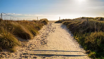 Poster de jardin Mer du Nord, Pays-Bas Path to North sea beach in gold sunshine