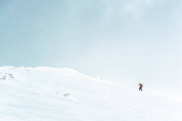 Naklejka na ściany i meble skier on the top of mountain