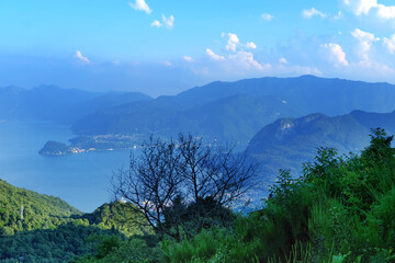 aerial view of Como Lake landscape in beautiful summer day, trees, water and mountains, Italy, Europe, concept summer vacation, travel and enjoyment