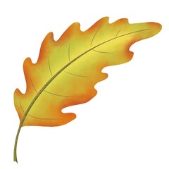 Obraz premium Autumn leaves. Digital illustration on the theme of autumn. Hand-drawn, high resolution, white background, isolates.