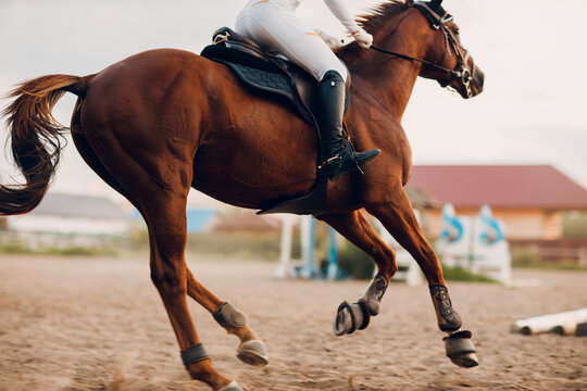 Dressage horse and rider in uniform during equestrian jumping competition or horse racing