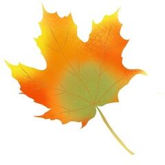 Autumn leaves. Digital illustration on the theme of autumn. Hand-drawn, high resolution, white background, isolates.