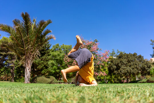 Summersault Bilder – Durchsuchen 10,831 Archivfotos, Vektorgrafiken und ...