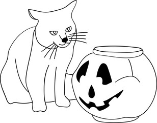 Halloween Cat