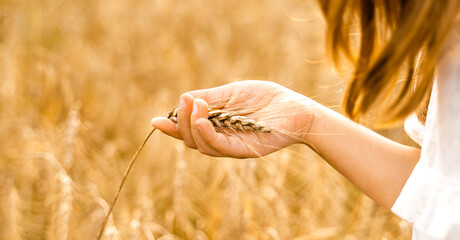 Happy girl walks in beautiful wheat field, embracing summer's yellow sun, nature freedom outdoors....