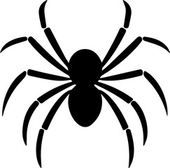 Spider Flat Icon