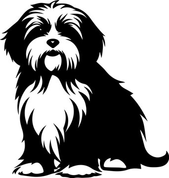 Schapendoes Dog Icon
