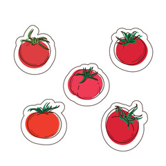 Set of vector stickers isolated from the background. Hand-drawn bright juicy tomatoes on a white background.