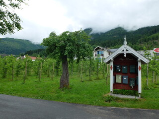 autour de BALESTRAND - Norvège