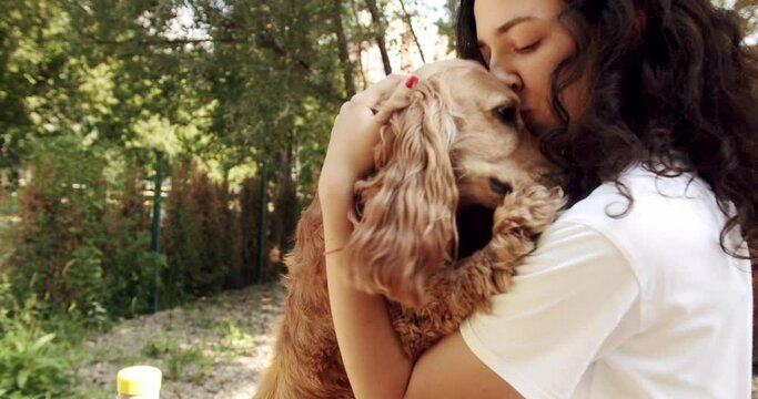 Woman playing with her dog. hugs, kiss and pose nicely. Human animal friendship. Happy woman hugs and have fun with cocker spaniel dog, English cocker spaniel rests outdoors. young pretty animal