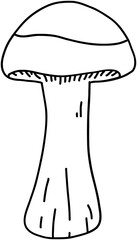 doodle freehand sketch drawing of wild mushroom mushroom.