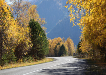 Obraz premium Autumn road in the mountains, colorful