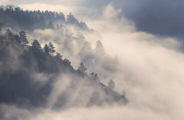 Morning in the mountains, fog and forest on the slope, rays of light