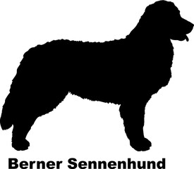 Berner Sennenhund dog silhouette dog breeds Animals Pet breeds silhouette