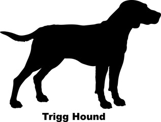 Trigg Hound dog silhouette dog breeds Animals Pet breeds silhouette