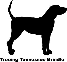 Treeing Tennessee Brindle dog silhouette dog breeds Animals Pet breeds silhouette