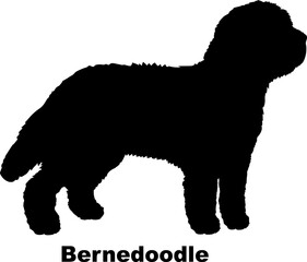 Bernedoodle dog silhouette dog breeds Animals Pet breeds silhouette