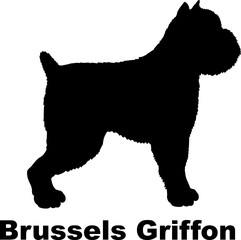  Brussels Griffon dog silhouette dog breeds Animals Pet breeds silhouette
