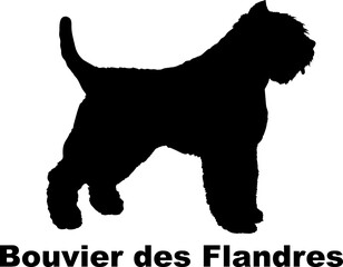  Bouvier des Flandres dog silhouette dog breeds Animals Pet breeds silhouette