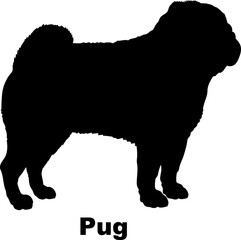 Pug. dog silhouette dog breeds Animals Pet breeds silhouette