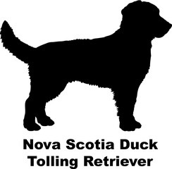 Nova Scotia Duck Tolling Retriever dog silhouette dog breeds Animals Pet breeds silhouette
