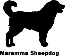 Maremma Sheepdog dog silhouette dog breeds Animals Pet breeds silhouette