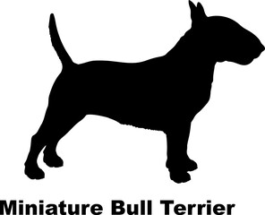  Miniature Bull Terrier. dog silhouette dog breeds Animals Pet breeds silhouette