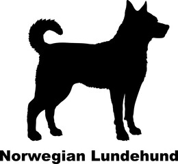 Norwegian Lundehund dog silhouette dog breeds Animals Pet breeds silhouette