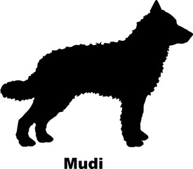 Mudi dog silhouette dog breeds Animals Pet breeds silhouette