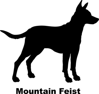Mountain Feist dog silhouette dog breeds Animals Pet breeds silhouette