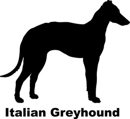 Italian Greyhound dog silhouette dog breeds Animals Pet breeds silhouette