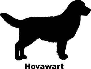 dog silhouette dog breeds Animals Pet breeds silhouette