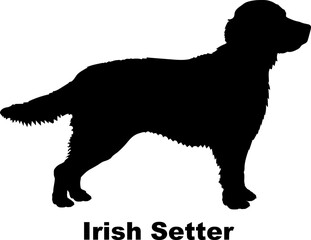 Irish Setter dog silhouette dog breeds Animals Pet breeds silhouette