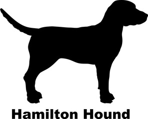 Hamilton Hound dog silhouette dog breeds Animals Pet breeds silhouette