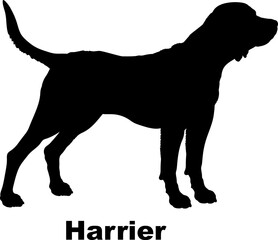 Harrier dog silhouette dog breeds Animals Pet breeds silhouette