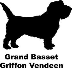 Grand Basset Griffon Vendeen dog silhouette dog breeds Animals Pet breeds silhouette