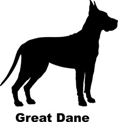 Great Dane dog silhouette dog breeds Animals Pet breeds silhouette