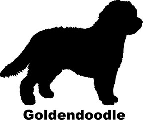 Goldendoodle dog silhouette dog breeds Animals Pet breeds silhouette