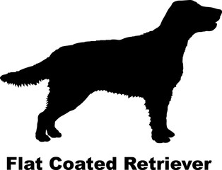 Flat Coated Retriever dog silhouette dog breeds Animals Pet breeds silhouette