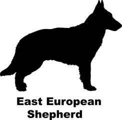 East European Shepherd dog silhouette dog breeds Animals Pet breeds silhouette